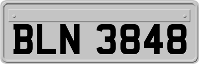 BLN3848