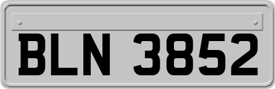BLN3852