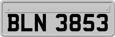 BLN3853