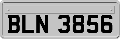 BLN3856