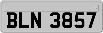 BLN3857