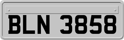 BLN3858