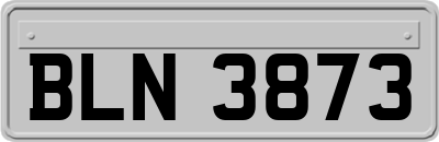 BLN3873