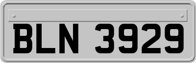 BLN3929