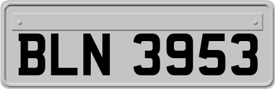 BLN3953