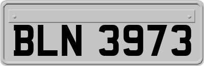 BLN3973