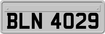 BLN4029