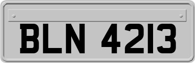 BLN4213
