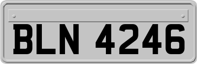 BLN4246