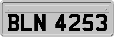 BLN4253