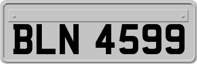 BLN4599