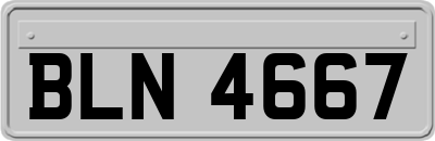 BLN4667