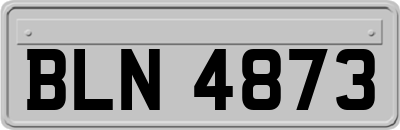 BLN4873