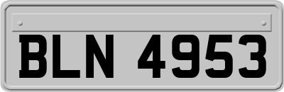 BLN4953