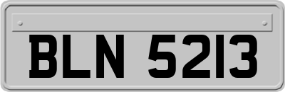 BLN5213