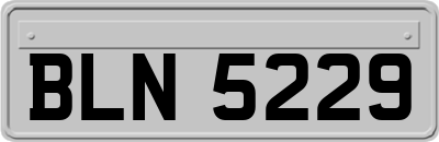 BLN5229