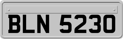 BLN5230