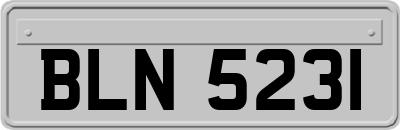 BLN5231
