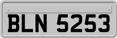BLN5253
