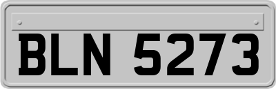 BLN5273