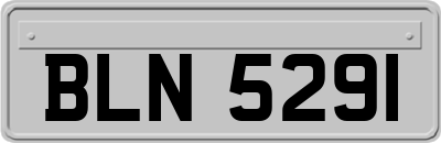 BLN5291