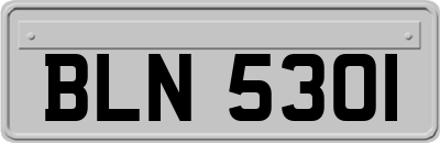 BLN5301