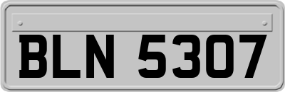 BLN5307