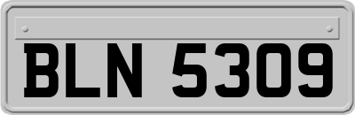 BLN5309