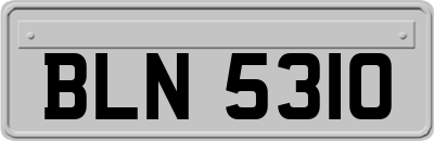 BLN5310