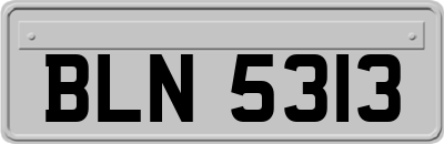 BLN5313