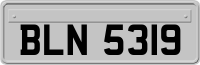 BLN5319