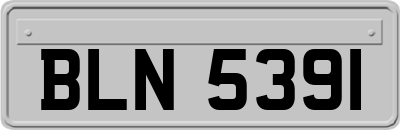 BLN5391