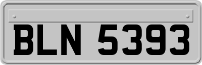 BLN5393