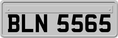 BLN5565