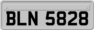 BLN5828