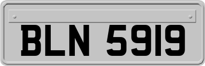 BLN5919