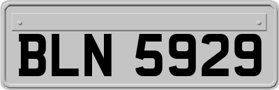 BLN5929
