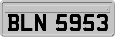 BLN5953