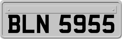 BLN5955