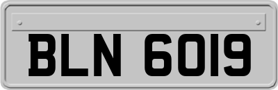 BLN6019