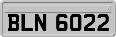 BLN6022
