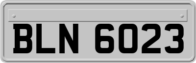 BLN6023