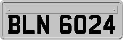 BLN6024