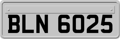 BLN6025