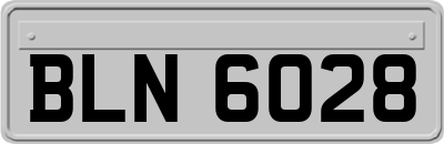 BLN6028