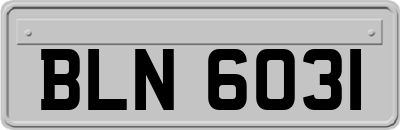 BLN6031