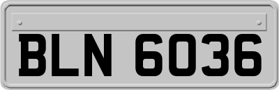 BLN6036