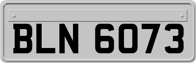 BLN6073