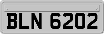 BLN6202