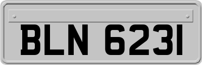 BLN6231